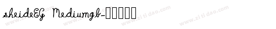 sheideEG Mediumgb字体转换